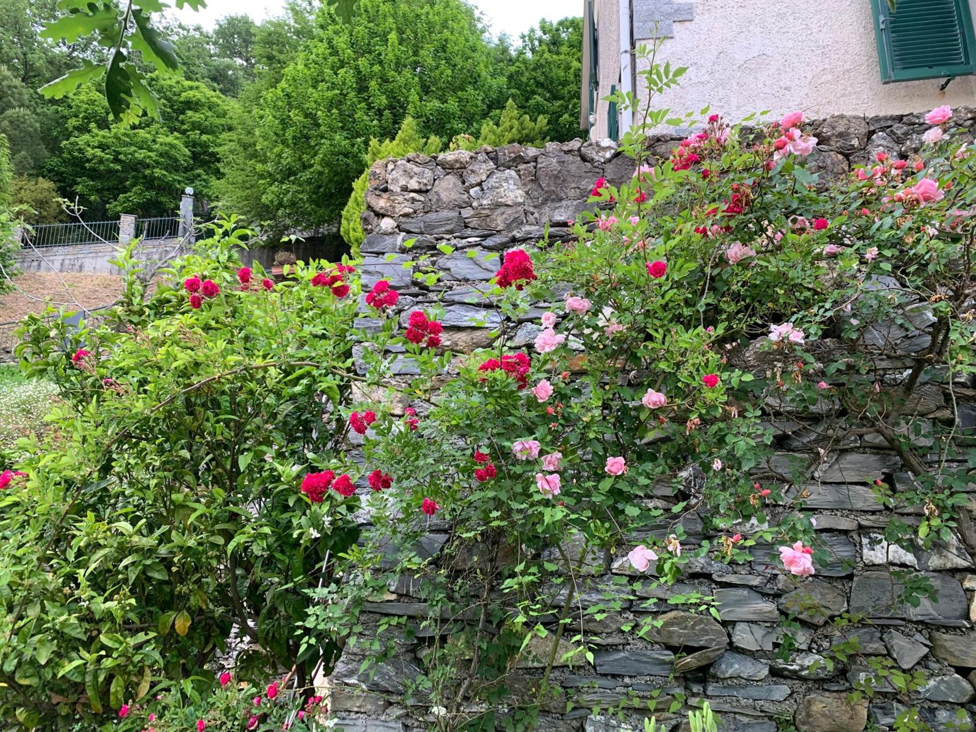 Il Giardino Di Piero - Lt-0029 Villa Salto Chiesa Екстериор снимка